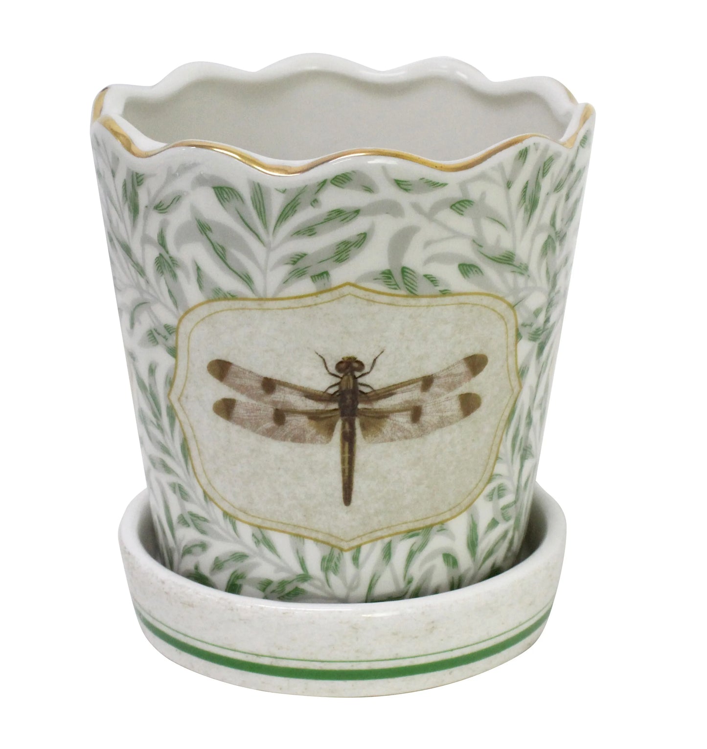 Planter Morris Dragonfly