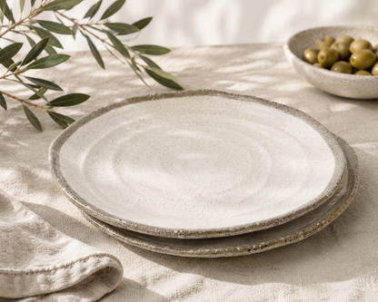 Japanese Ceramic Dinner Plate