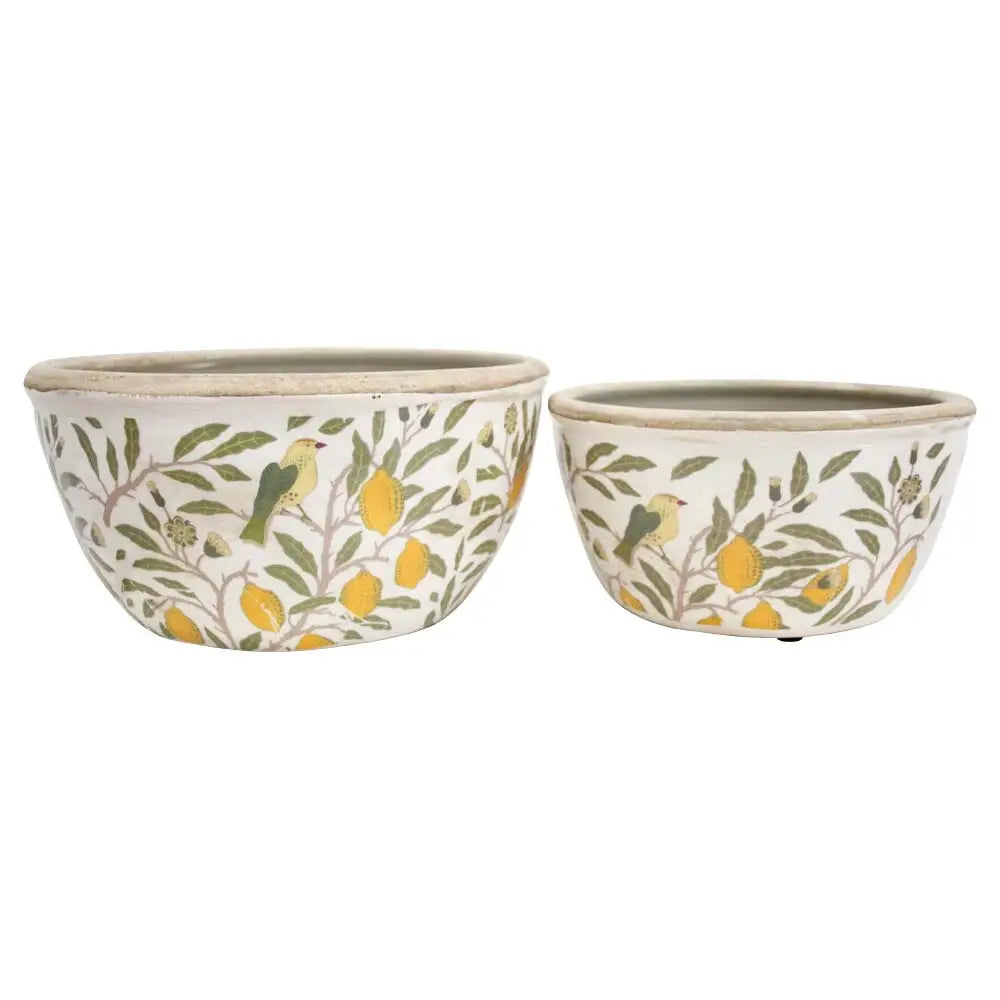 Planters S/2 Lemons Low