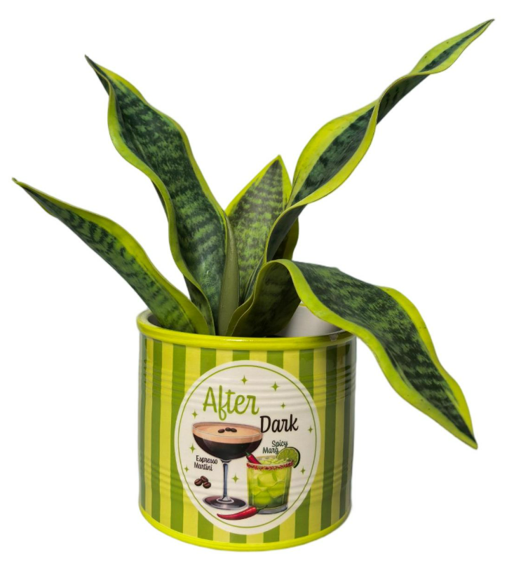 Spritz After Dark Planter Green