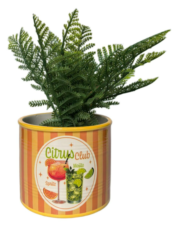 Spritz Citrus Club Planter Orange